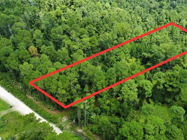 MALLARD ROAD, SATSUMA, FL 32189