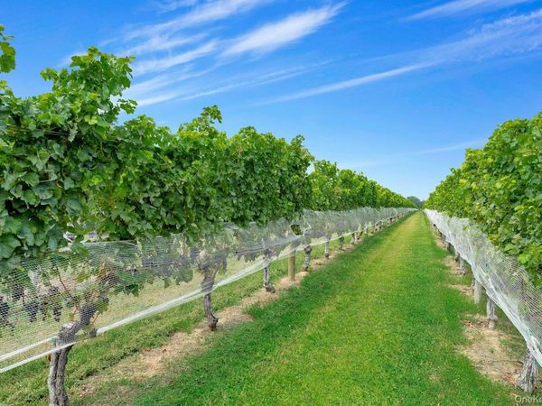 44075 Route 25, Peconic, NY 11971