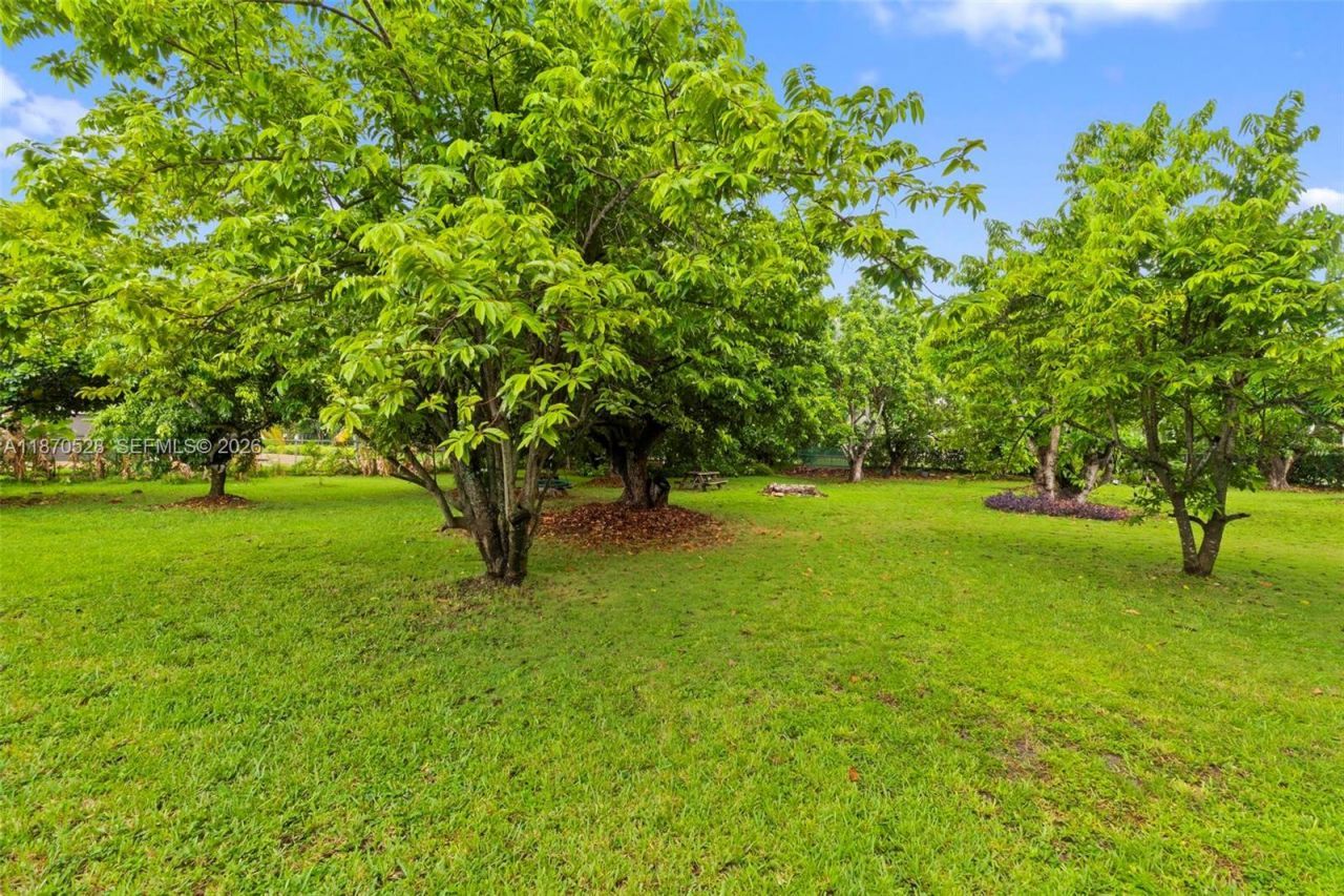 6539 SW 84 Ave, Miami, FL 33143 Photo