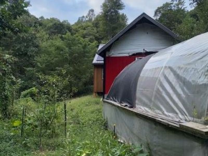 2603 Cassel Run Road, Brushcreek Twp, OH 45616 Photo 5