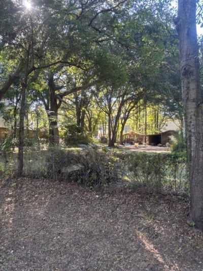 1401 Lieben Road Photo 4