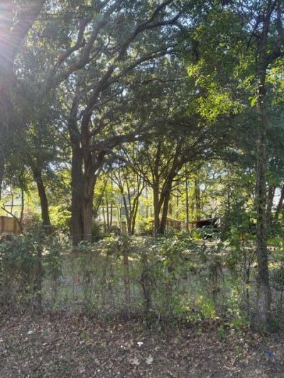 1401 Lieben Road Photo 5