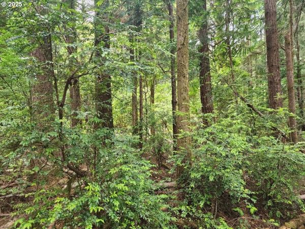 Cedar Hollow RD, Unit 2107, Port Orford, OR 97465