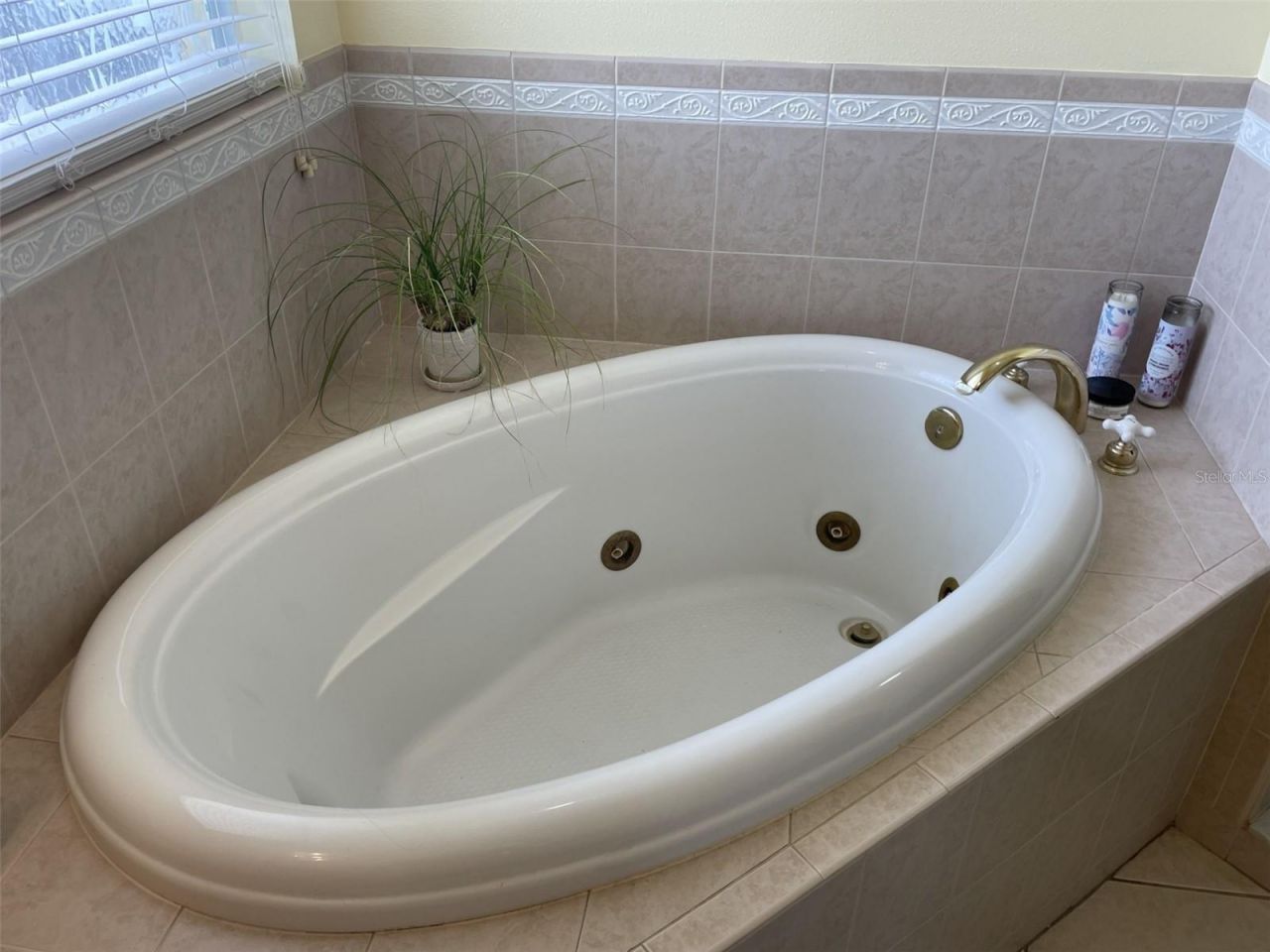 3418 Futch Road, Plant City, FL 33566 Photo