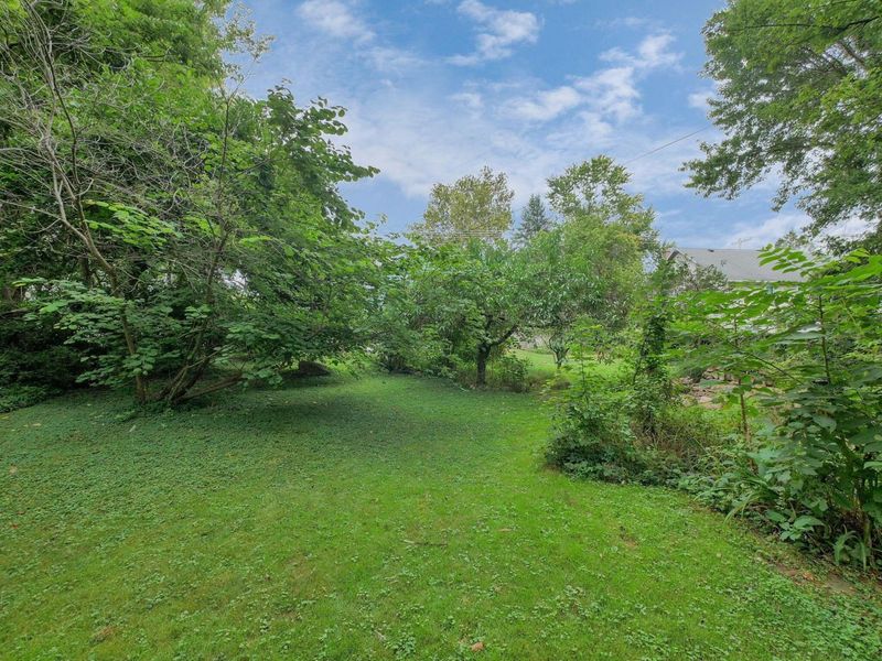 44 E Sandusky Street, Chesterville, OH 43317 Photo 33