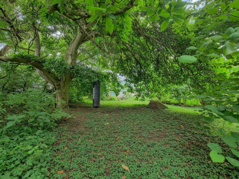 44 E Sandusky Street, Chesterville, OH 43317 Photo 34