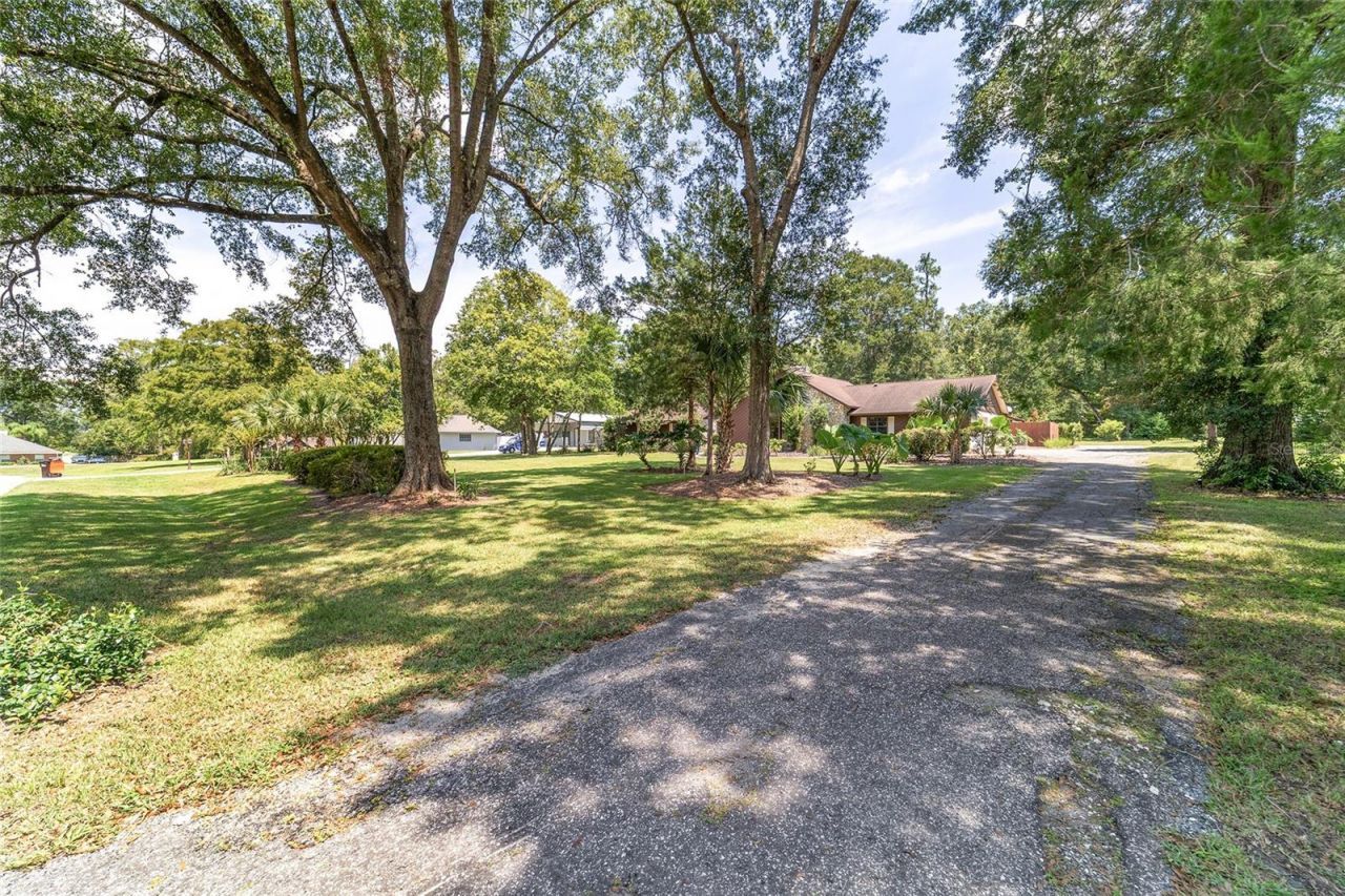 165 NE 55th Avenue, Ocala, FL 34470 Photo