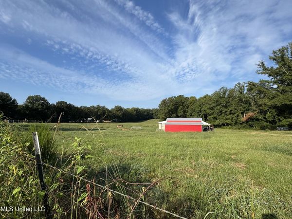 51 Gunter Street, Lena, MS 39094