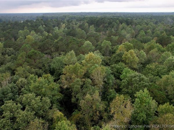 284 Irene Drive, Clarkton, NC 28433