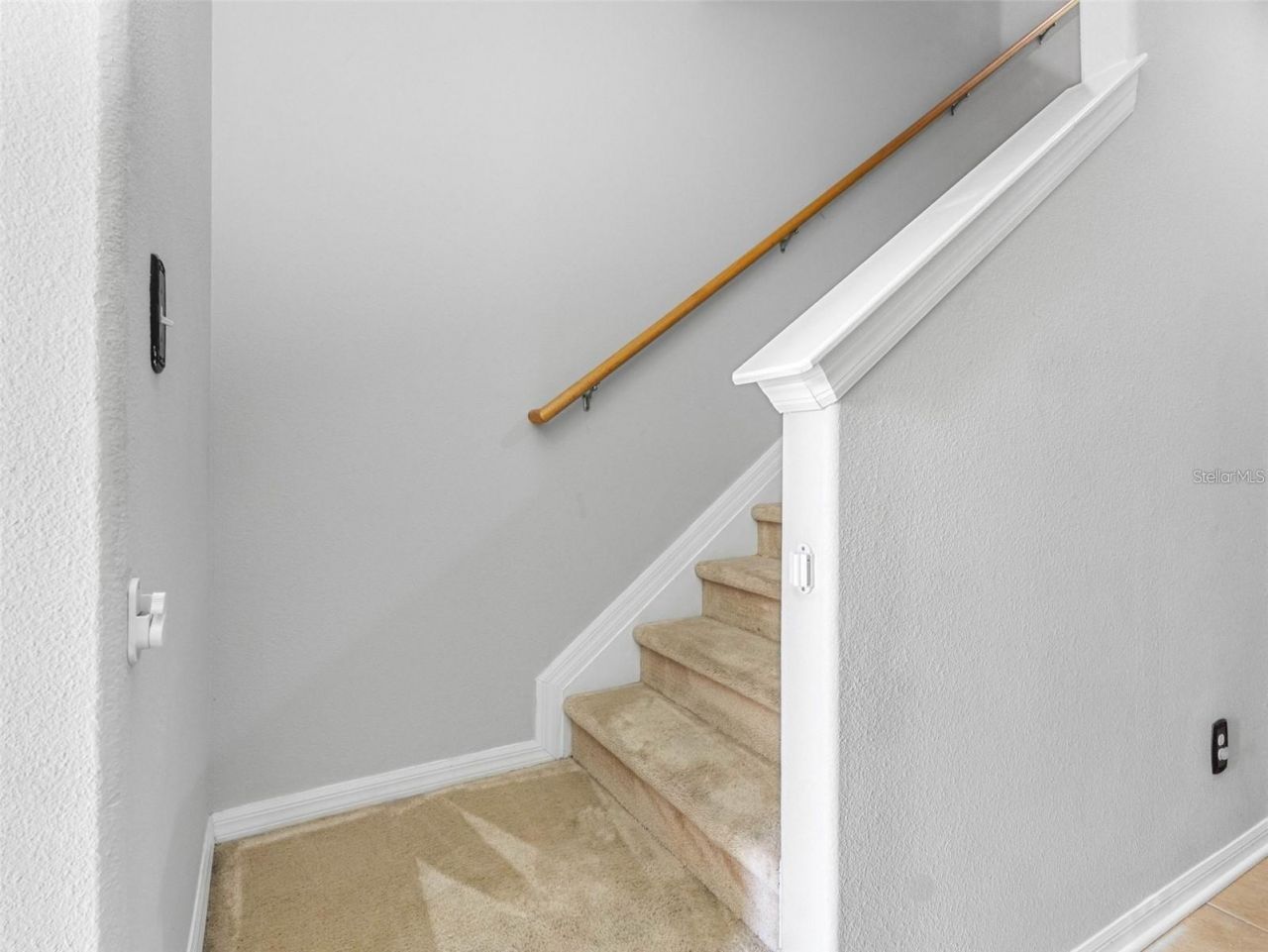 12820 Belvedere Song Way, Riverview, FL 33578 Photo