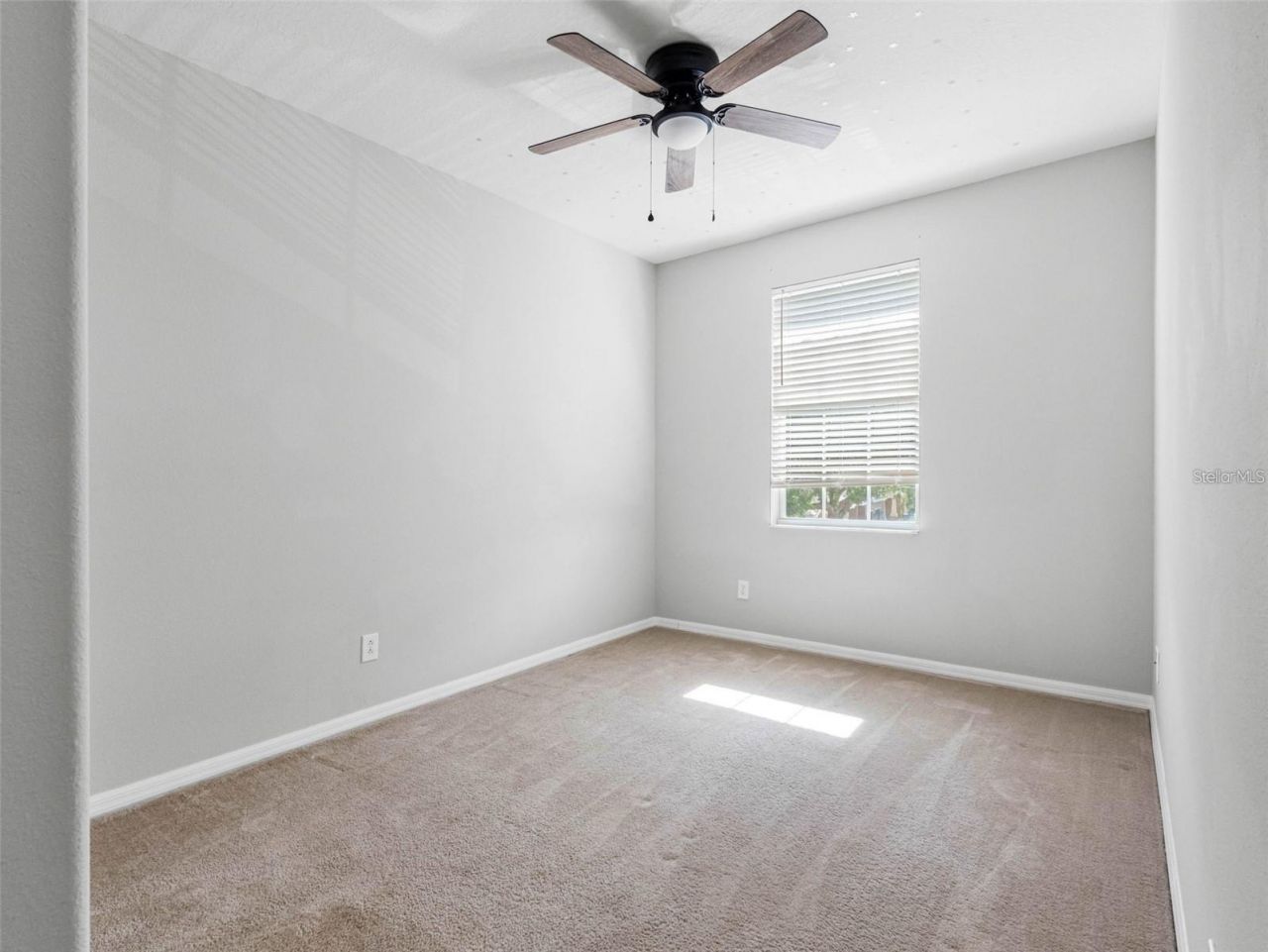 12820 Belvedere Song Way, Riverview, FL 33578 Photo
