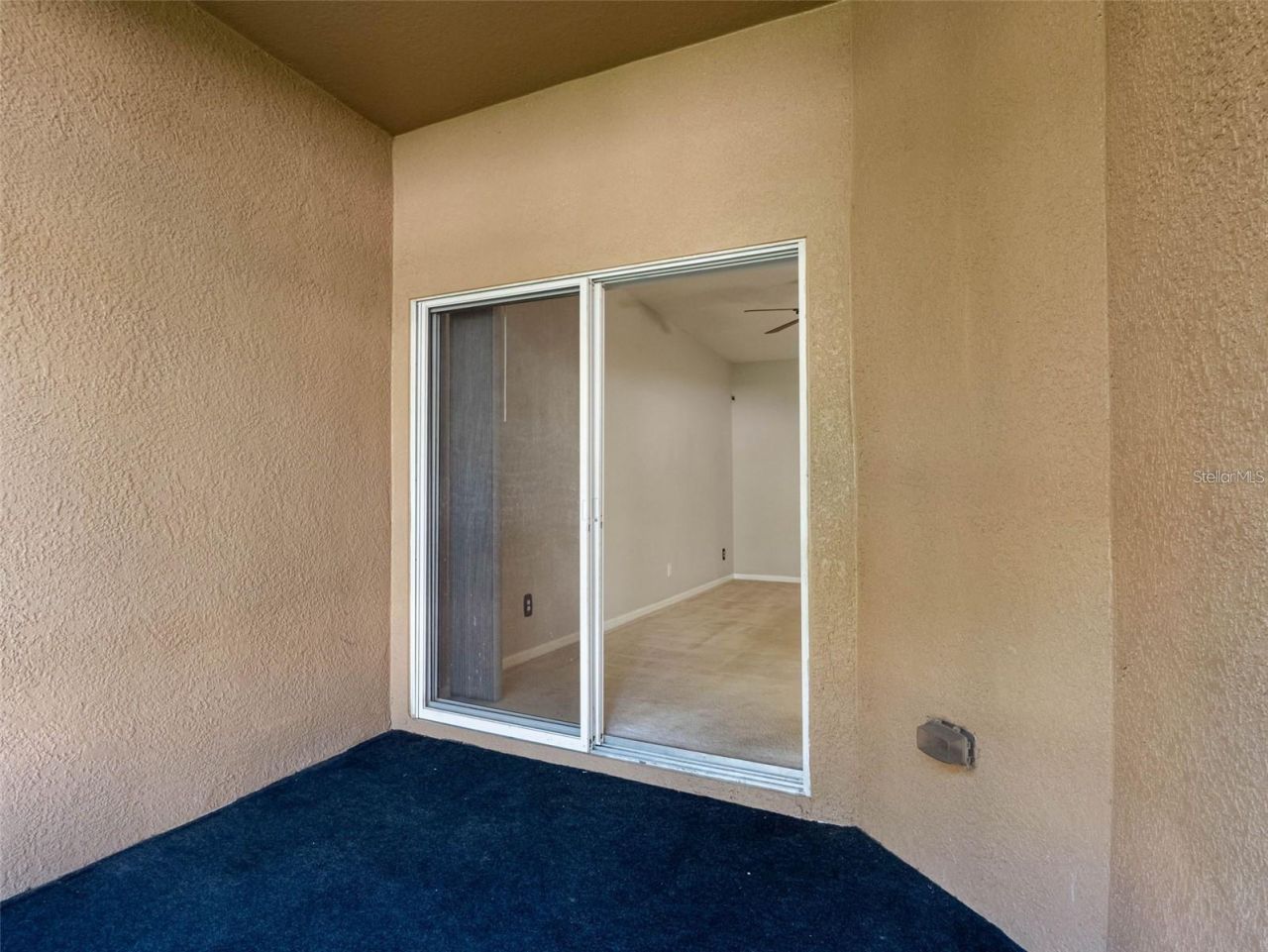 12820 Belvedere Song Way, Riverview, FL 33578 Photo