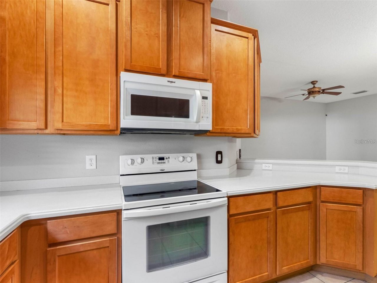12820 Belvedere Song Way, Riverview, FL 33578 Photo