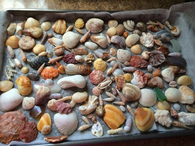 200 Horizons W, Unit 111, Boynton Beach, FL 33435 Photo