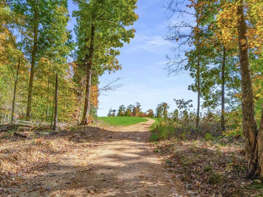 Property Image 37