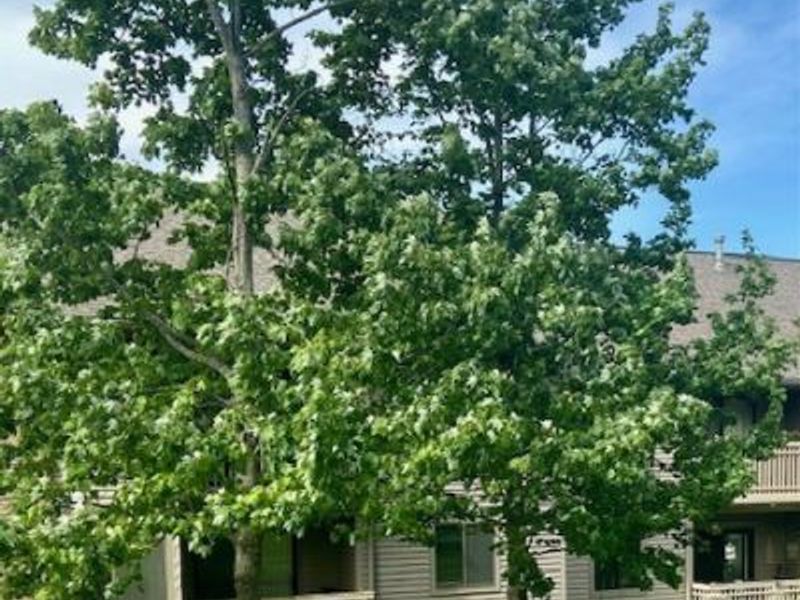 3800 Rosemont Boulevard, Unit 111B, Fairlawn, OH 44333 Photo 43