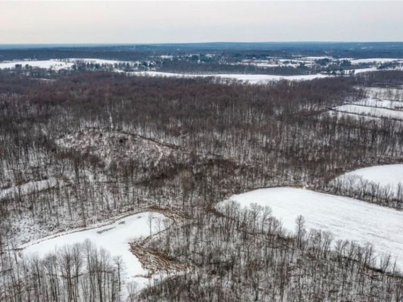 4896 Ridge Road, Wadsworth, OH 44281 Photo 10