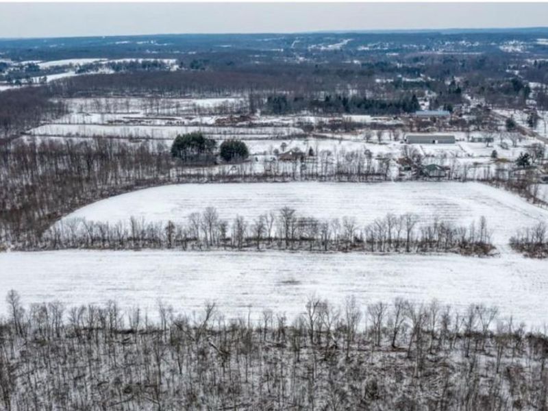 4896 Ridge Road, Wadsworth, OH 44281 Photo 15