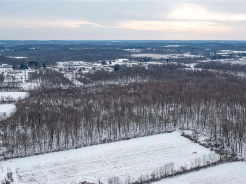 4896 Ridge Road, Wadsworth, OH 44281 Photo 6