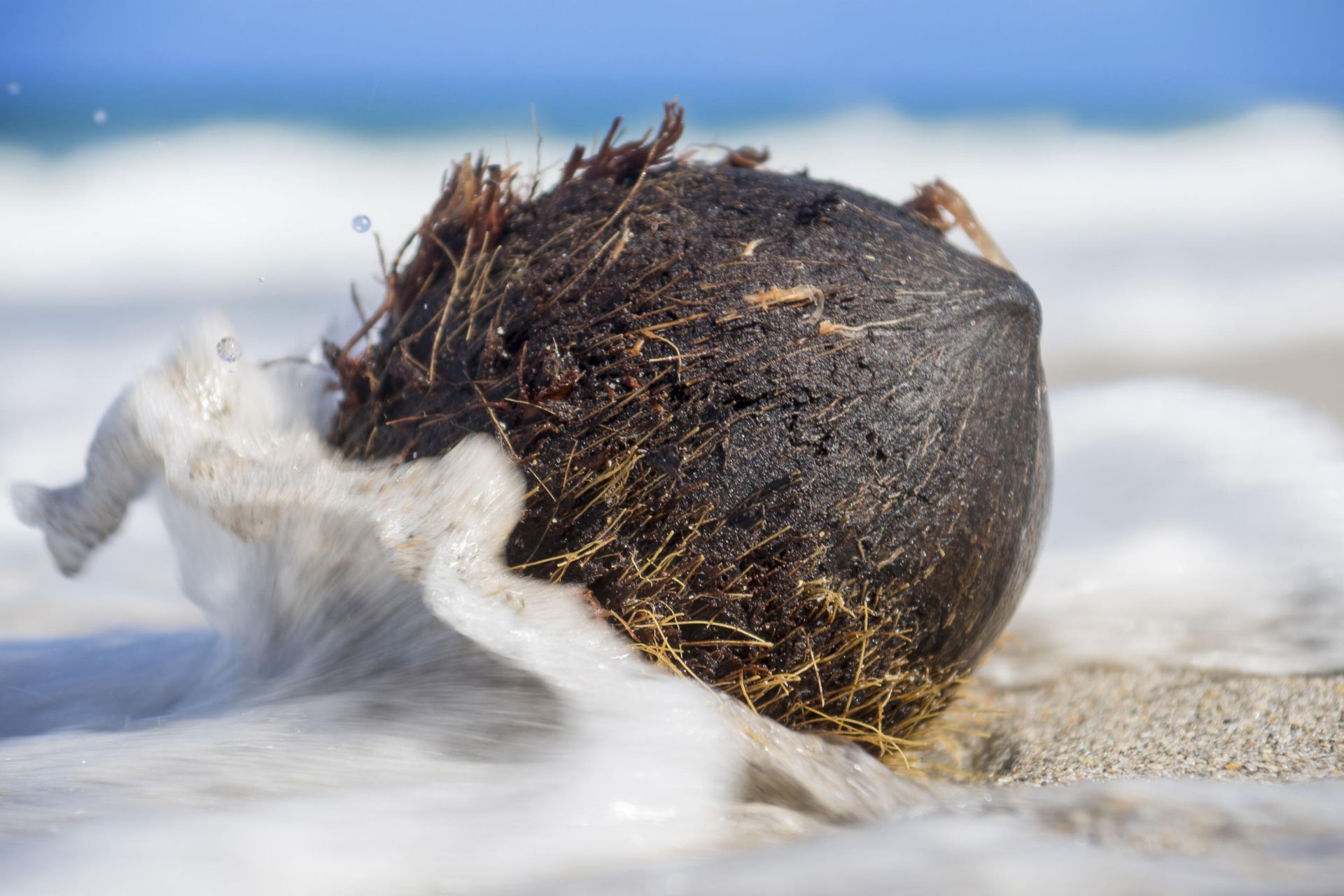 5440 N Ocean Drive, Unit 803, Singer Island, FL 33404 Photo