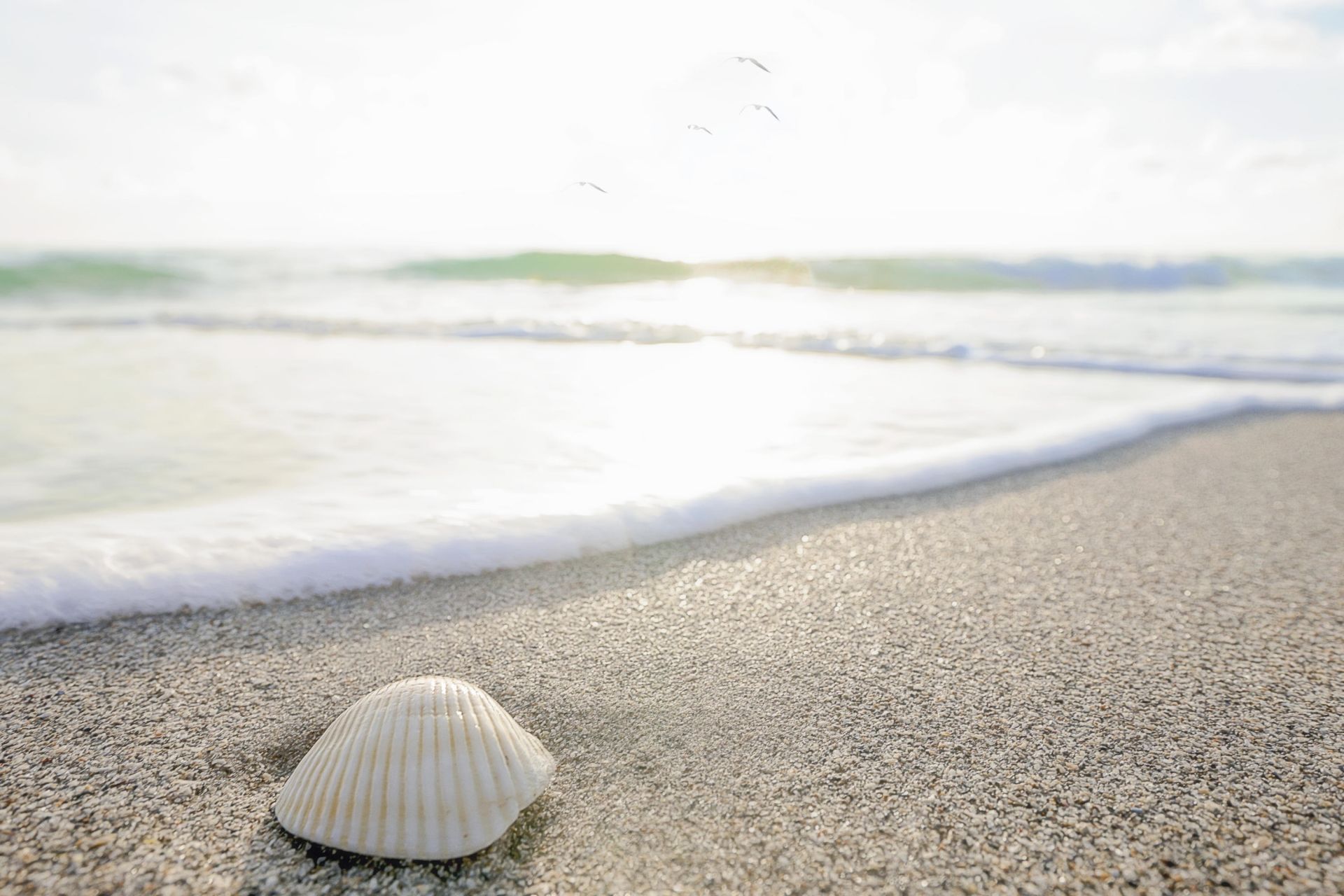 5440 N Ocean Drive, Unit 803, Singer Island, FL 33404 Photo