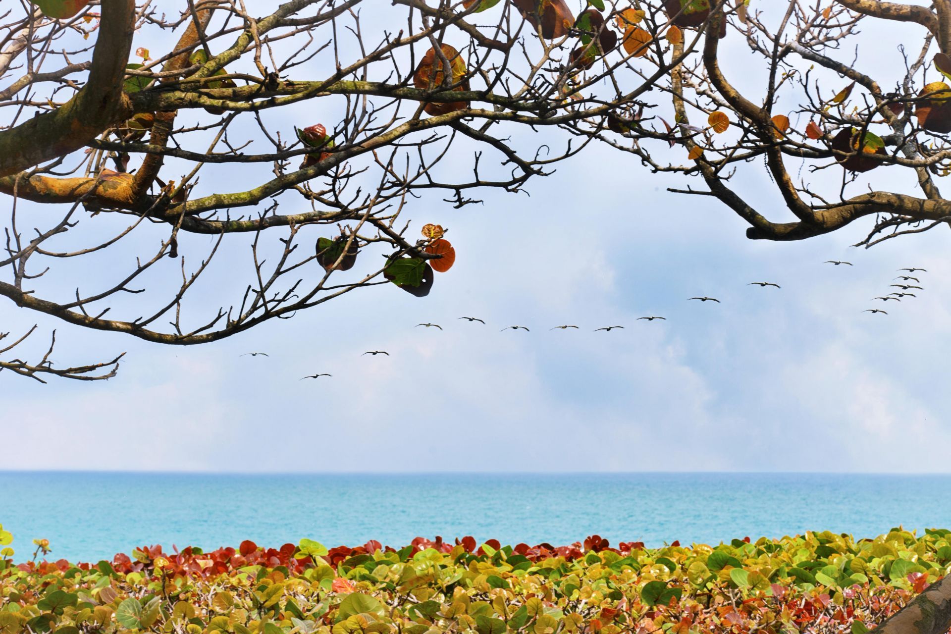 5440 N Ocean Drive, Unit 803, Singer Island, FL 33404 Photo