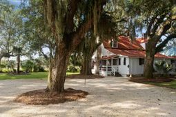 127 Oak Street photo 4