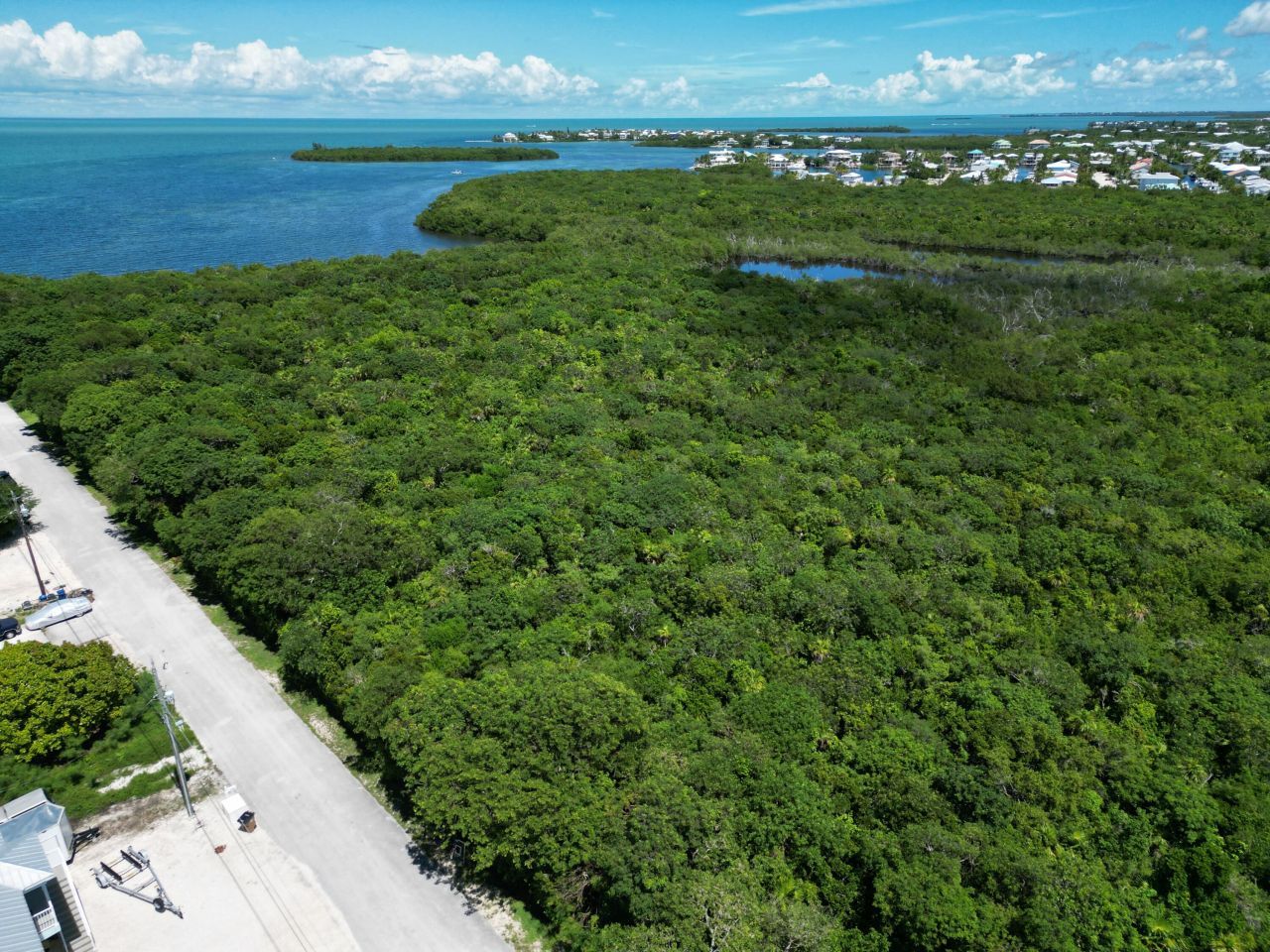 2411 Grouper Drive, Marathon, FL 33050 Photo