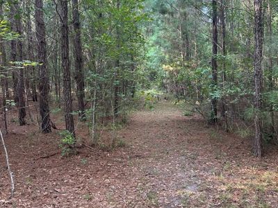 TBD Godwin Prince Ct, Loris, SC 29569