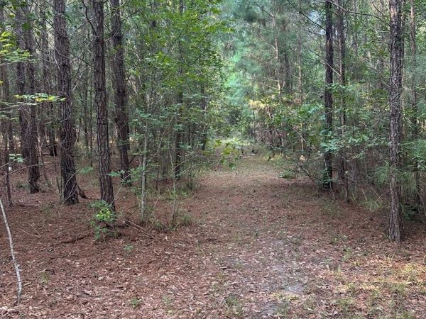 TBD Godwin Prince Ct, Loris, SC 29569