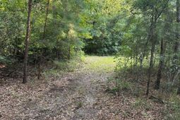 Tbd Godwin Prince Ct photo 4