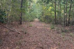 Tbd Godwin Prince Ct photo 4