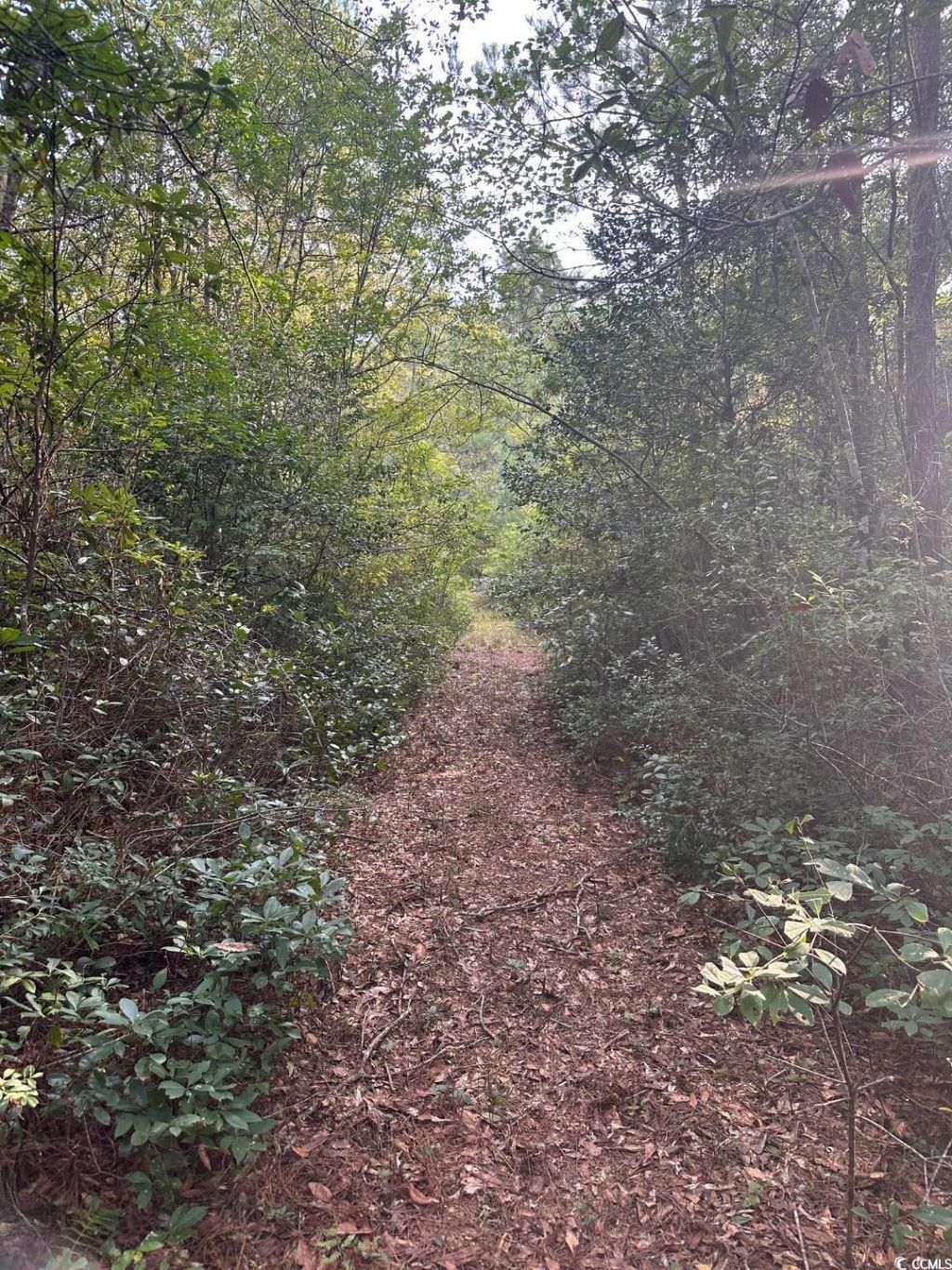 Tbd Godwin Prince Ct Photo 4