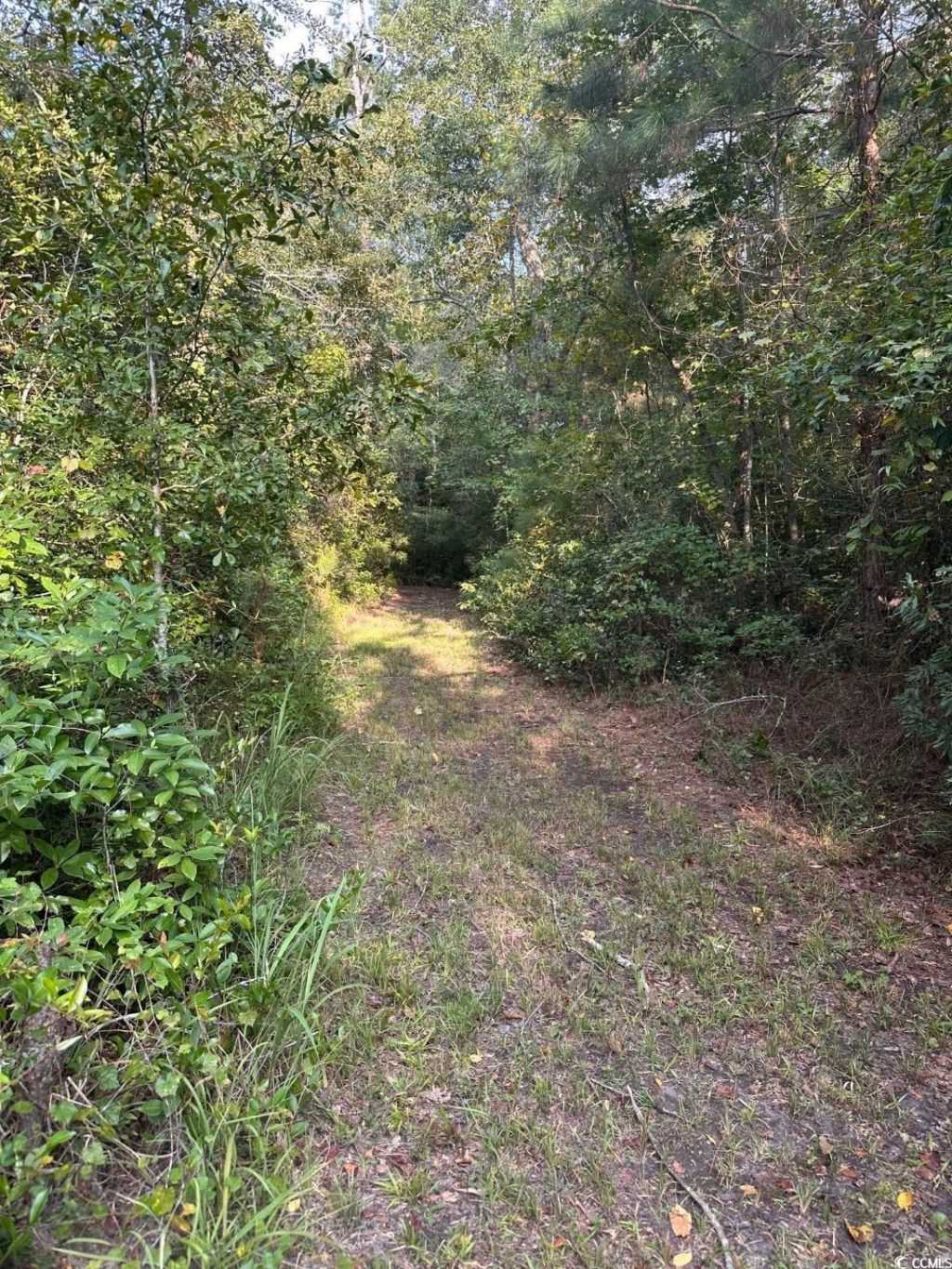 Tbd Godwin Prince Ct Photo 5