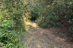 Tbd Godwin Prince Ct photo 4