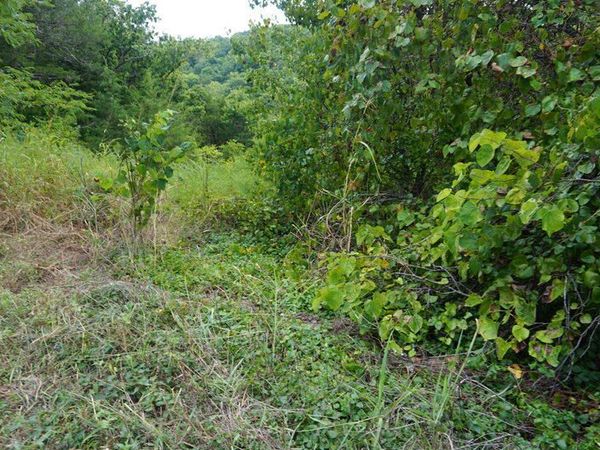 Lot 40 Cannon Ball Loop , Branson, MO 65616