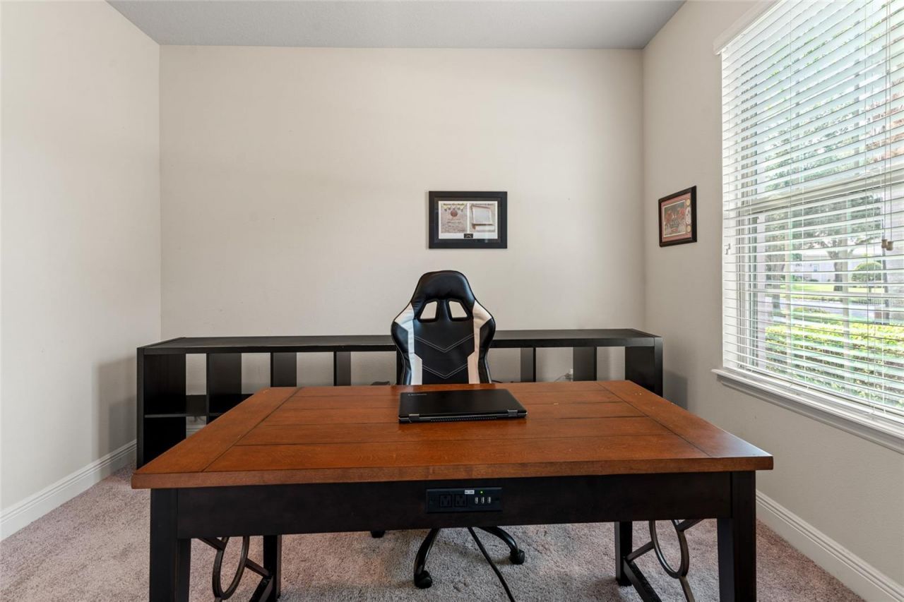 19813 Wellington Manor Boulevard, Lutz, FL 33549 Photo