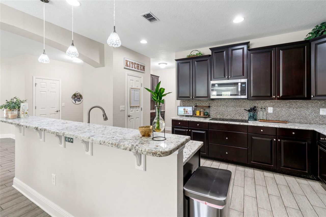 19813 Wellington Manor Boulevard, Lutz, FL 33549 Photo