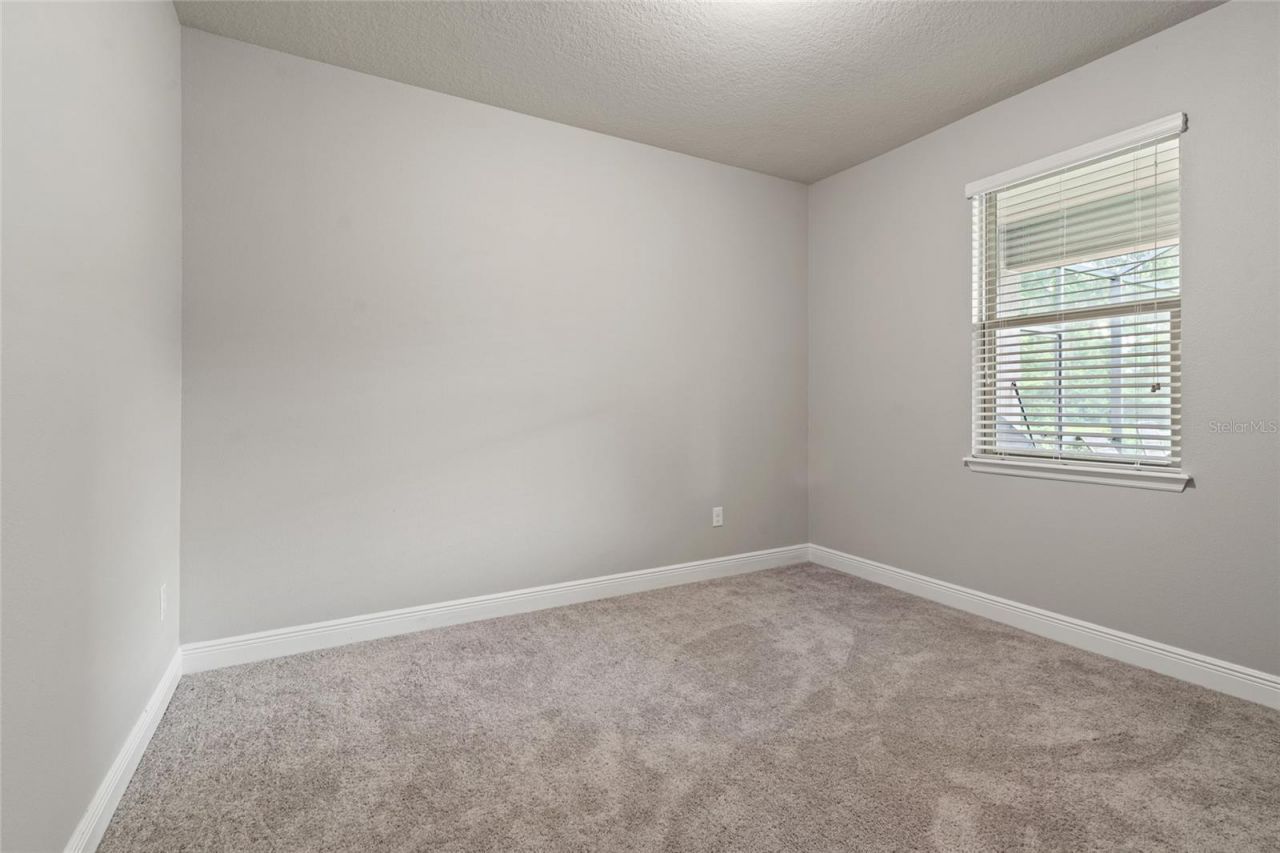 19813 Wellington Manor Boulevard, Lutz, FL 33549 Photo