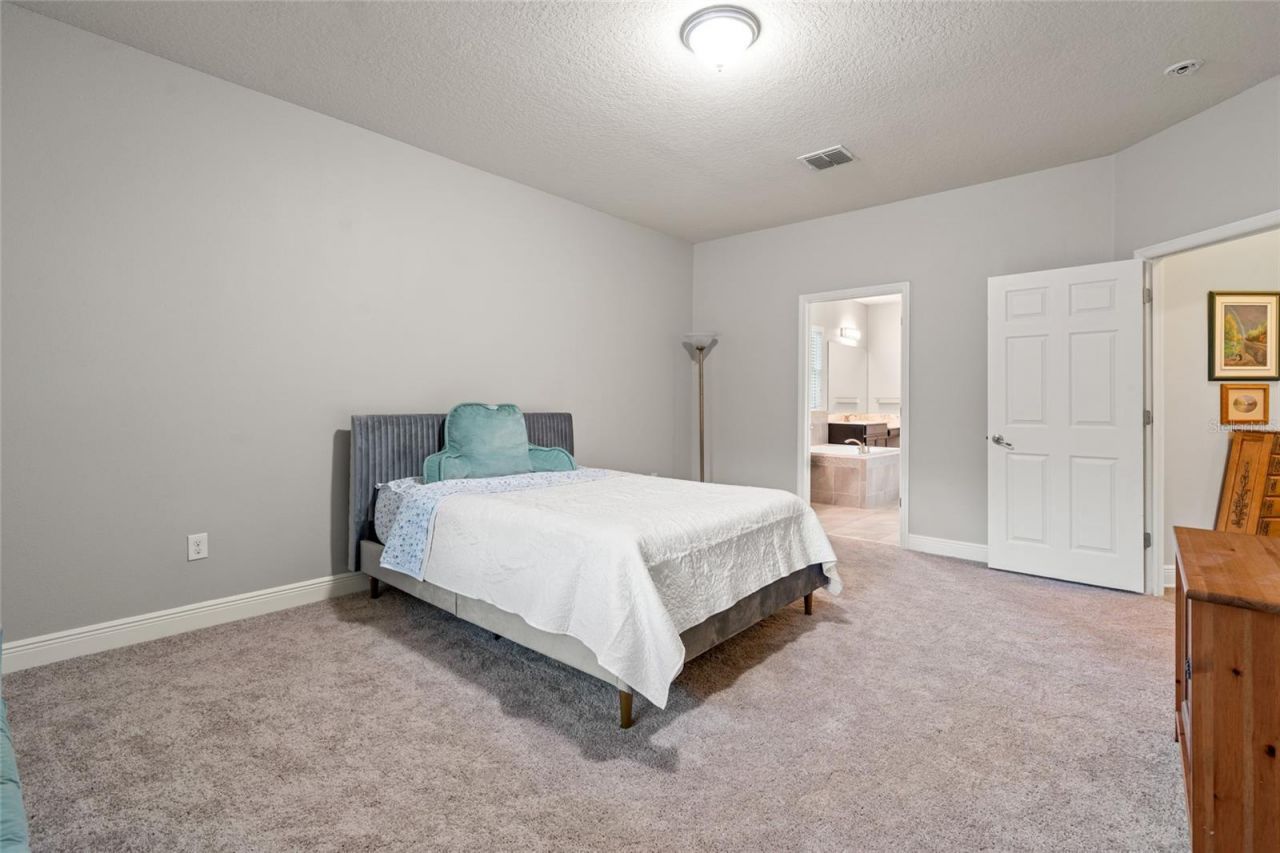 19813 Wellington Manor Boulevard, Lutz, FL 33549 Photo