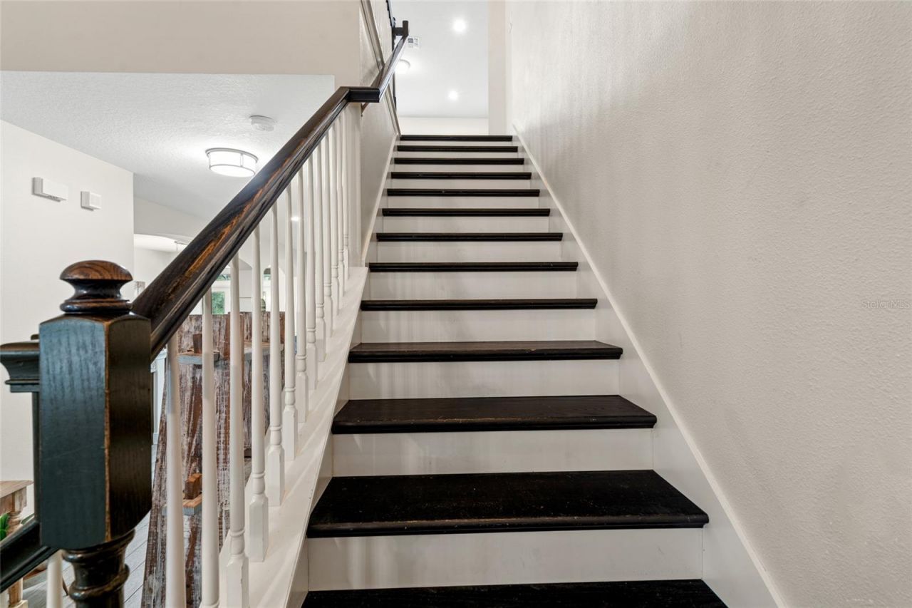 19813 Wellington Manor Boulevard, Lutz, FL 33549 Photo