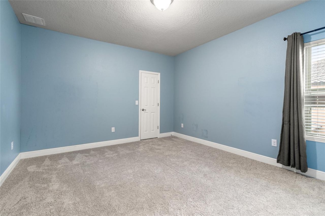 19813 Wellington Manor Boulevard, Lutz, FL 33549 Photo