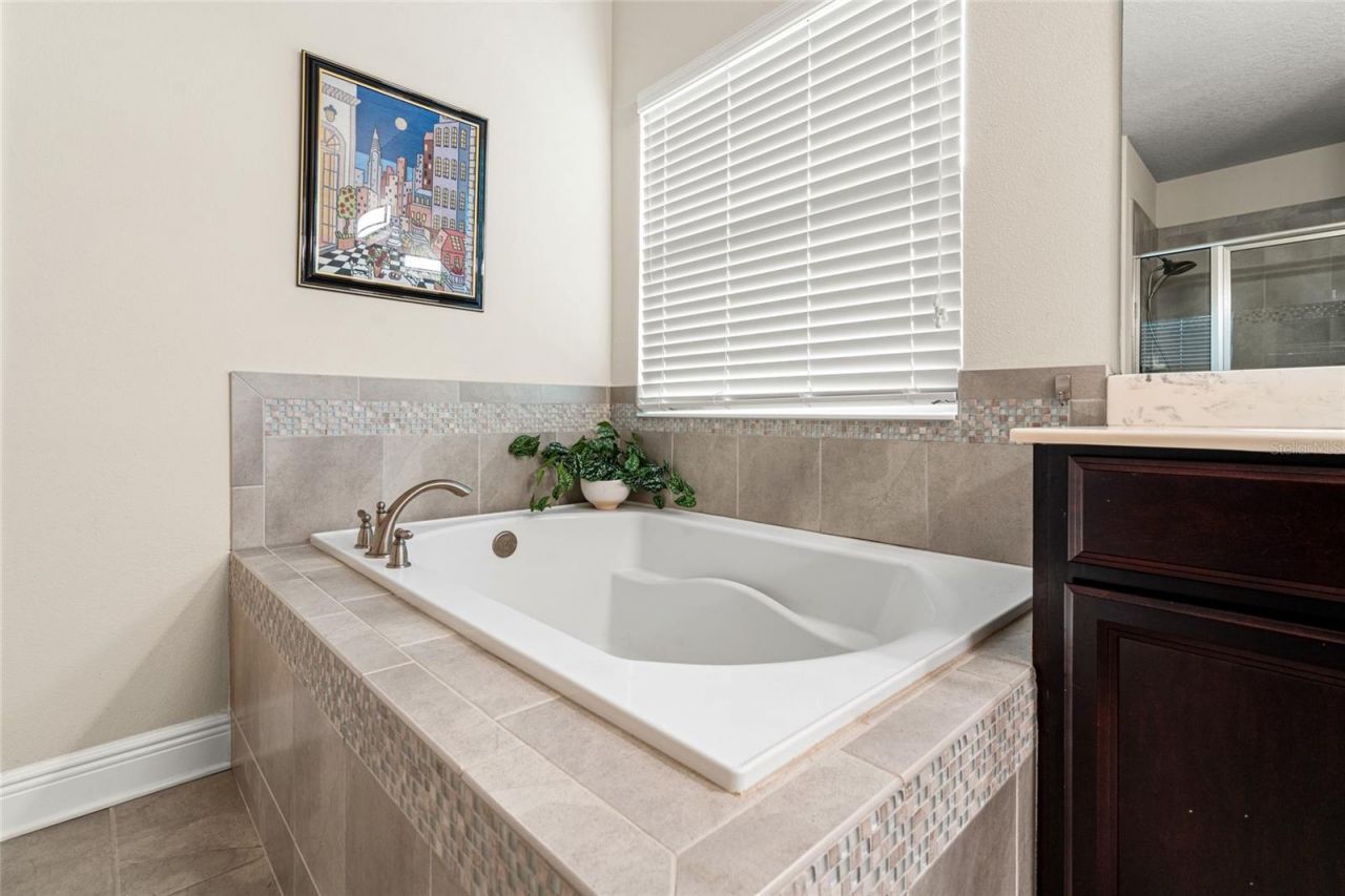 19813 Wellington Manor Boulevard, Lutz, FL 33549 Photo