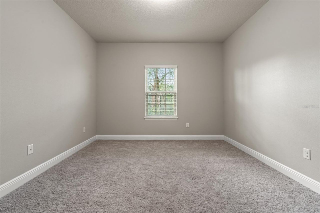 19813 Wellington Manor Boulevard, Lutz, FL 33549 Photo