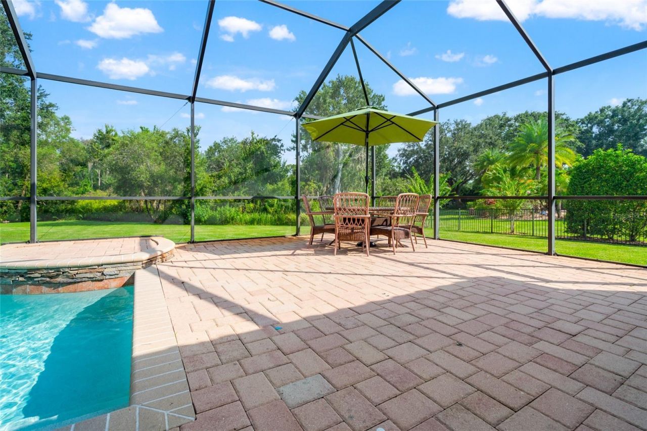 19813 Wellington Manor Boulevard, Lutz, FL 33549 Photo