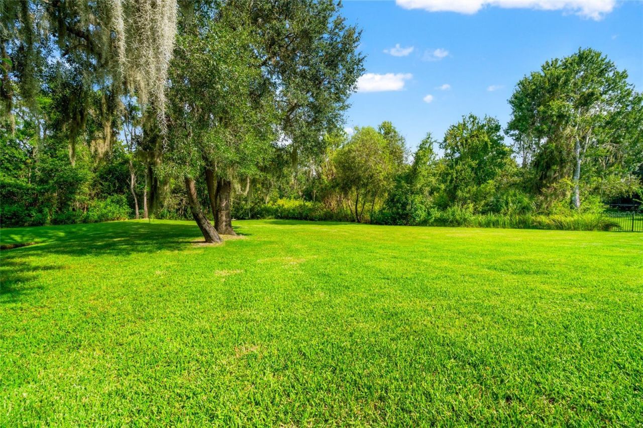 19813 Wellington Manor Boulevard, Lutz, FL 33549 Photo