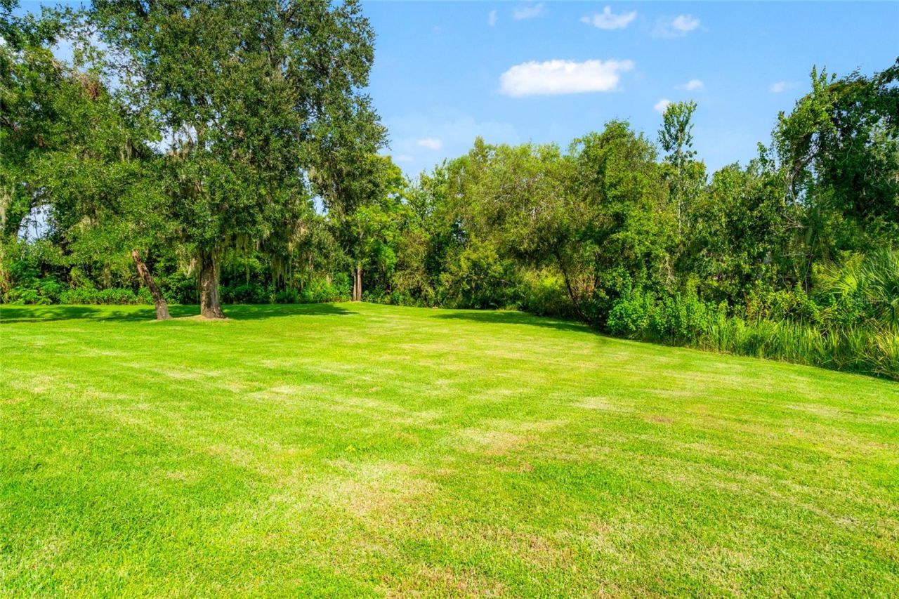 19813 Wellington Manor Boulevard, Lutz, FL 33549 Photo