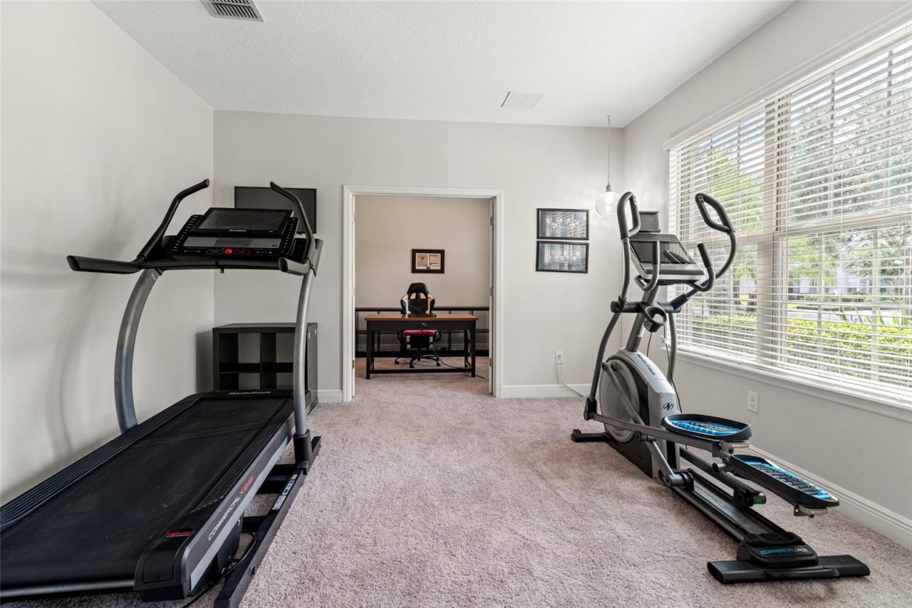 19813 Wellington Manor Boulevard, Lutz, FL 33549 Photo