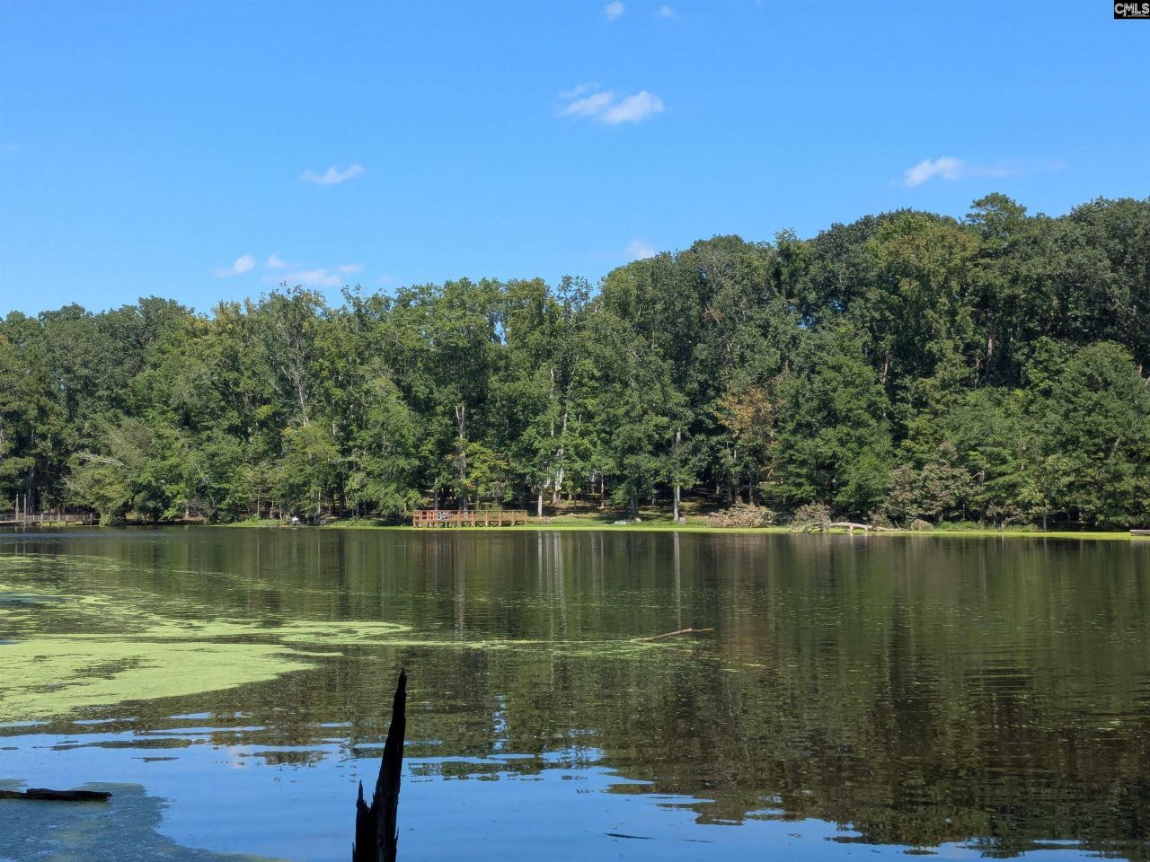 0 Taylor Road Photo 10