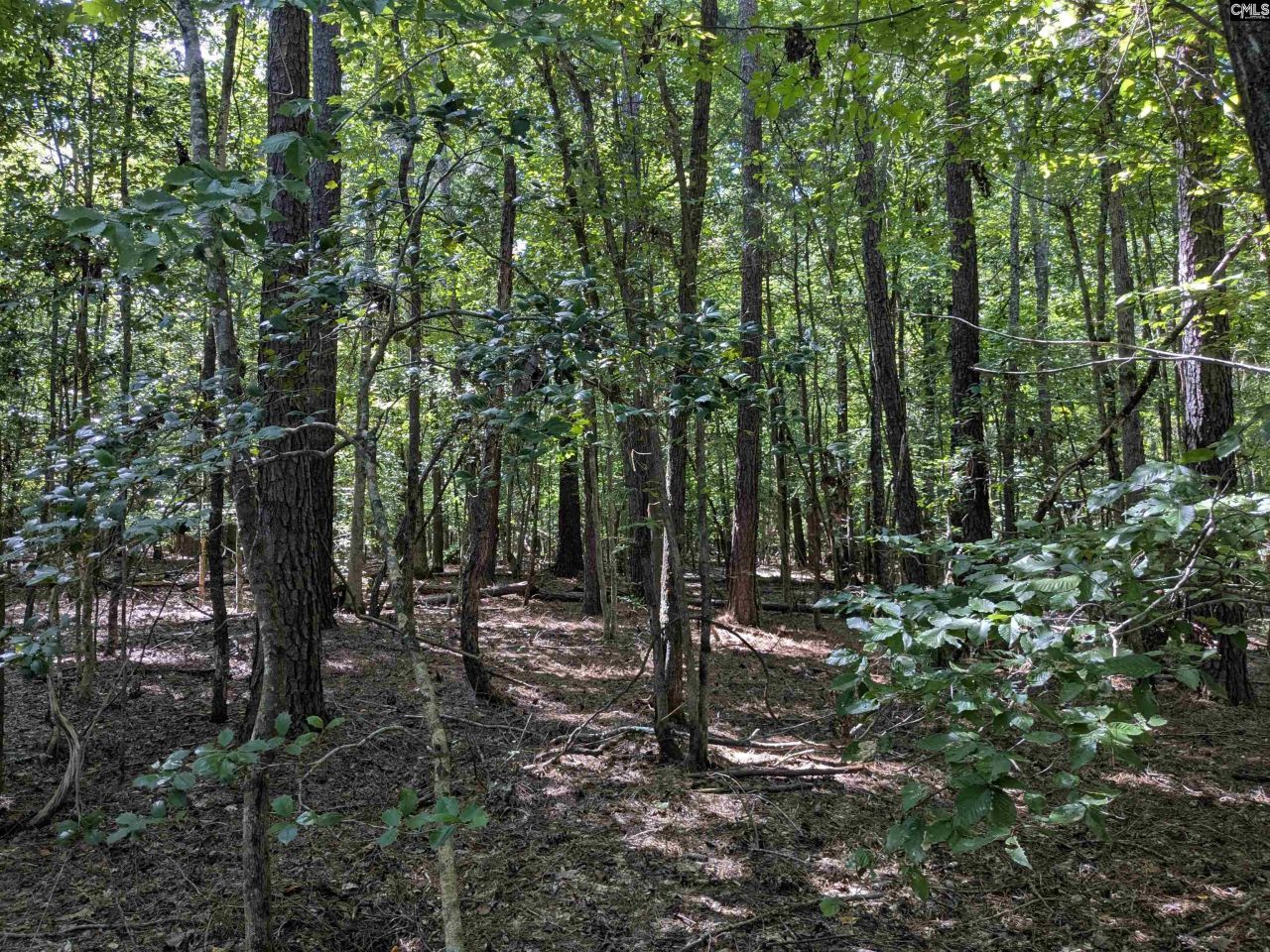 0 Taylor Road Photo 12